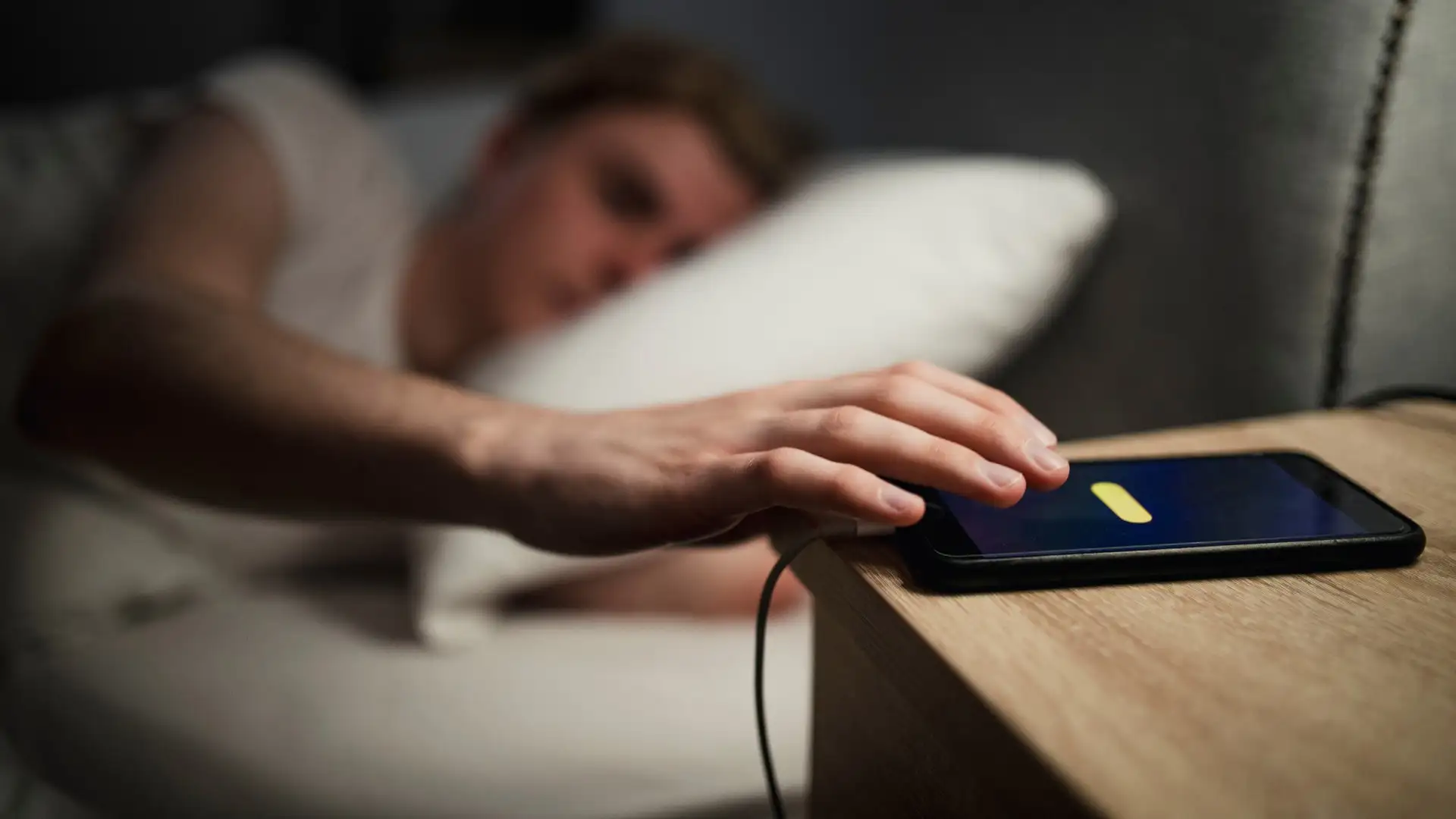 O‘zbekistonda intellektual mulk muhofazasi bo‘yicha yangi portal ishga tushiriladi