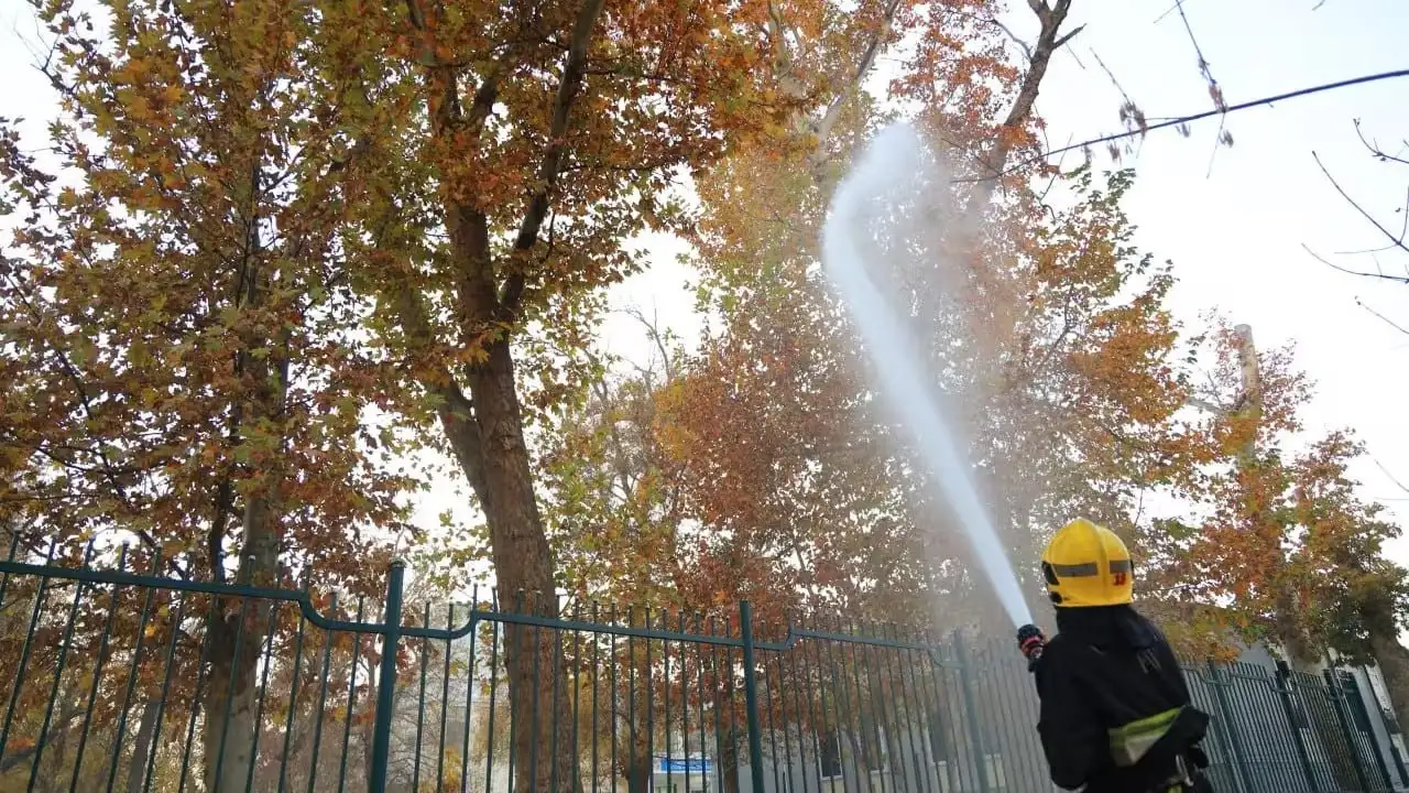 Toshkentda havo ifloslanishiga qarshi nima ishlar qilinmoqda?