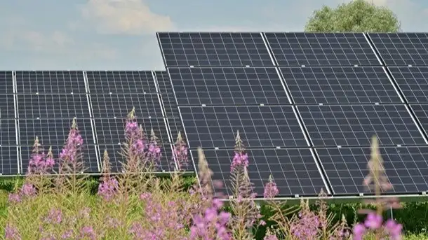 Shamol va quyosh vositasida energiya ishlab chiqarish ko‘mirdan o‘zib ketdi