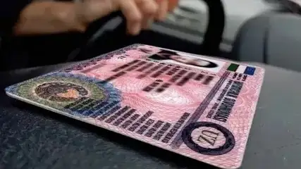 O‘zbekistonda ayrim yoshlarga OTMda va haydovchilikka o‘qish xarajatlari qoplab beriladi