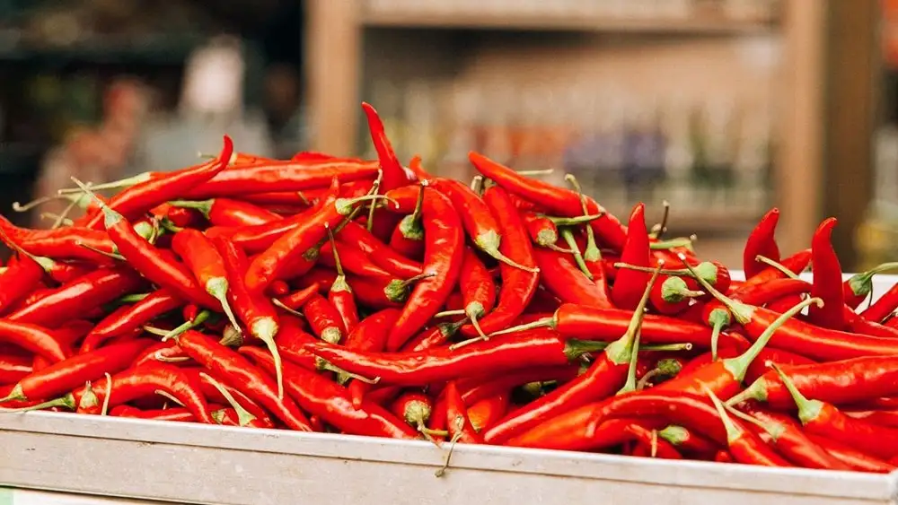 Navoiyda xatolik tufayli 2 dona qalampirga 2 mlrd so‘mlik chek urildi