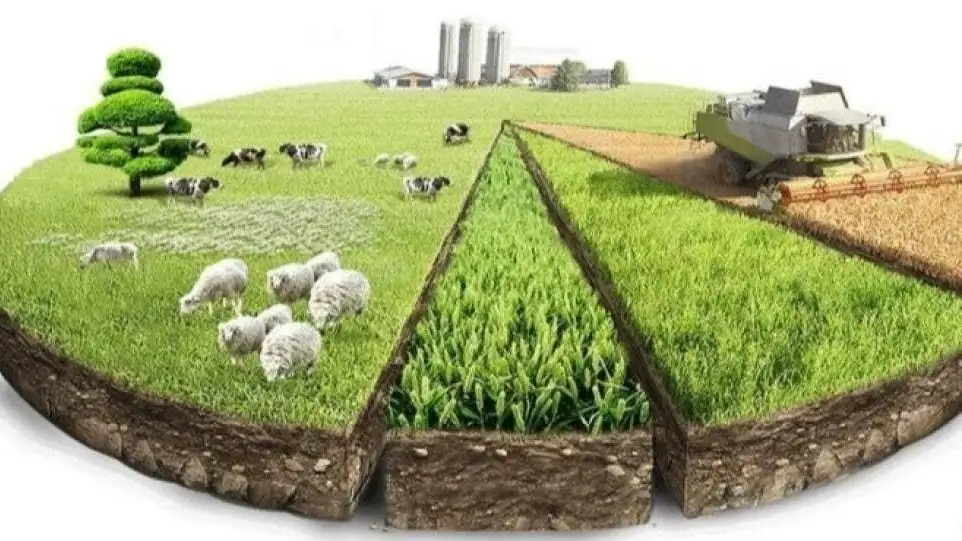 Dov-daraxtlarni sug‘orish maqsadida ichimlik suvidan foydalanish vaqtiga qo‘yilgan cheklov bahor va yoz fasllarida bekor qilinadi