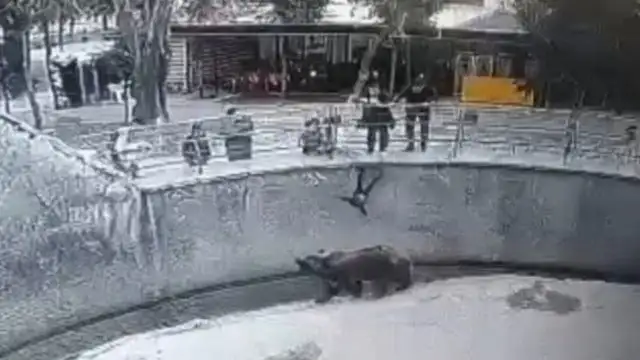 Uch yil avval qizini ayiq qafasiga tashlab yuborgan ayol o‘sha farzandini pichoqlab o‘ldirdi