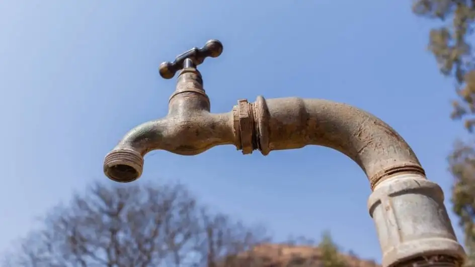 Germaniyada oqova suvlardan poliomiyelit virusi topildi